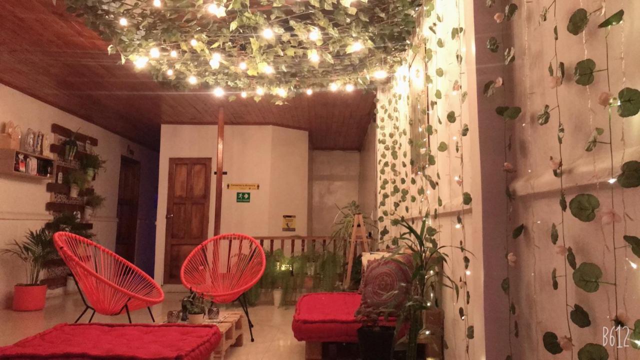 Hospedaje Casa Rosa Jardín Exterior foto